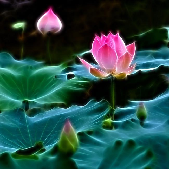 Buddha